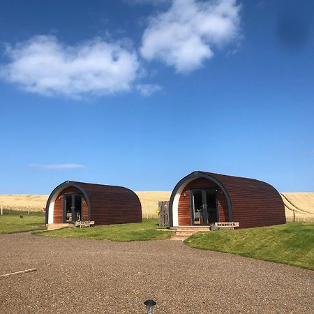 Milldown Glamping Apartment Coldingham ภายนอก รูปภาพ